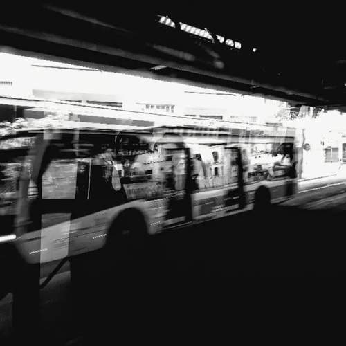 Photo #9407927