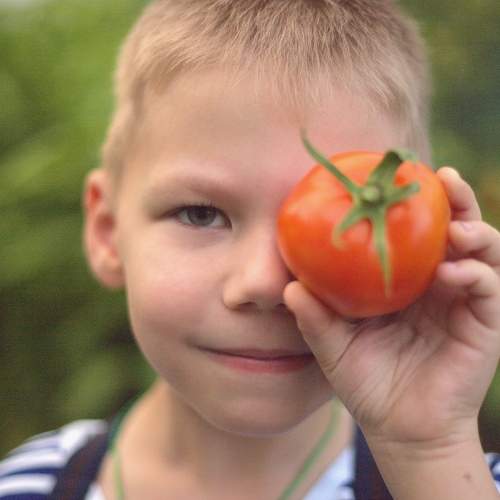 Photo #9407946
