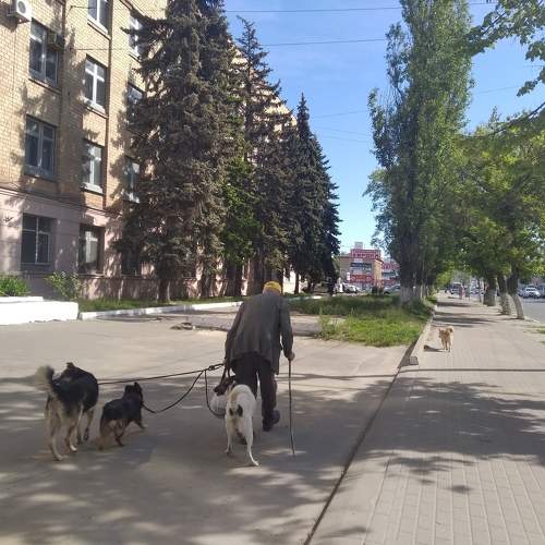 Photo #9408050