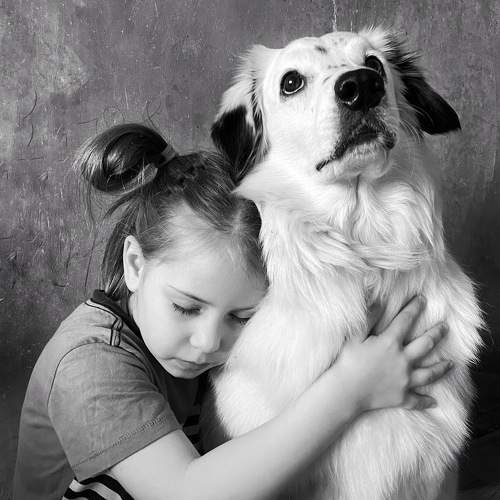 Photo #9408591