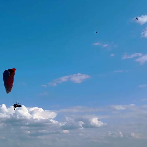 Photo #9409688