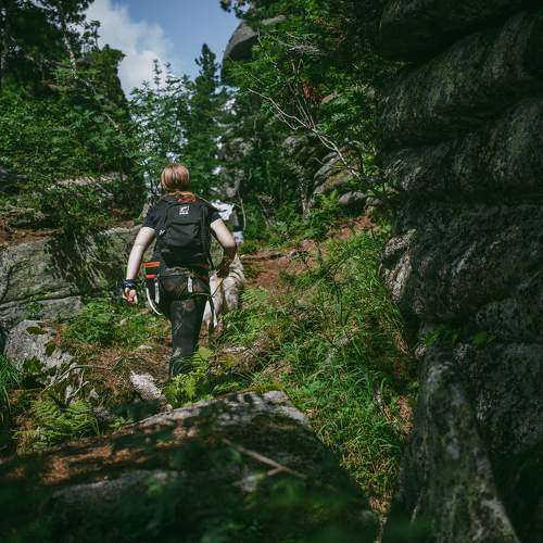 Photo #9409880