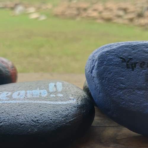 Photo #9410002