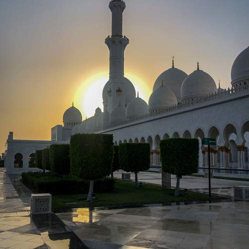 Photo #9410025