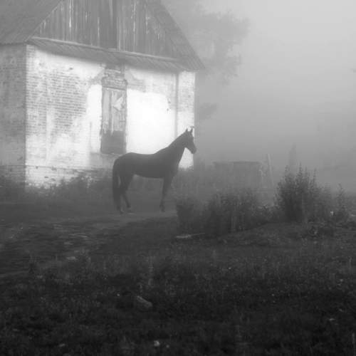 Фотография #9410128