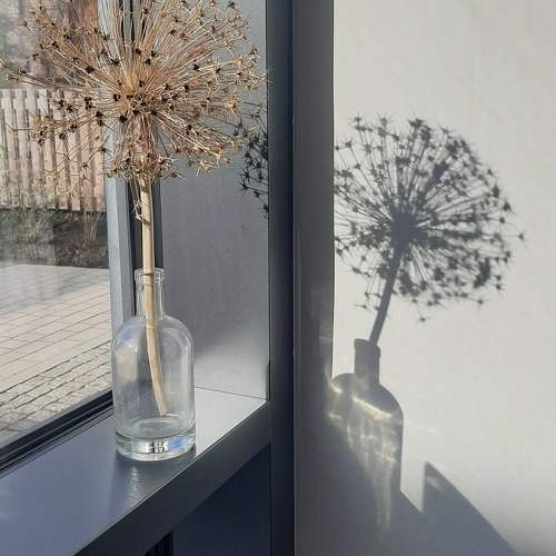 Photo #9410146