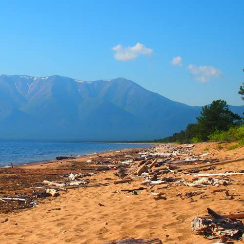 Photo #9410164
