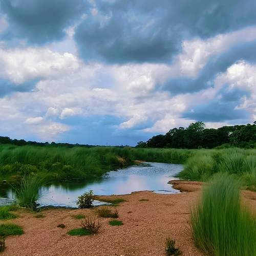 Nature