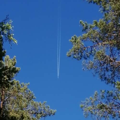 Photo #9410298