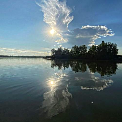 Photo #9410301