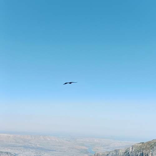 Photo #9410373