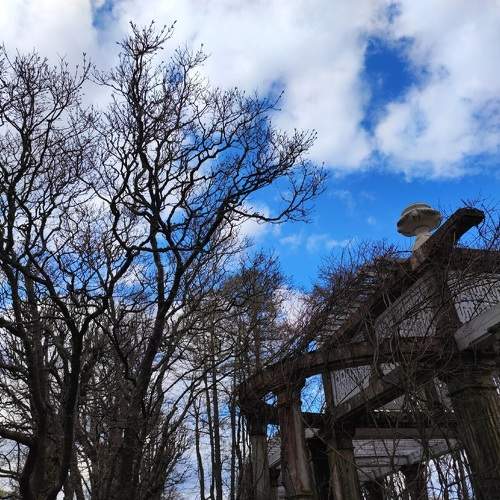 Photo #9410393