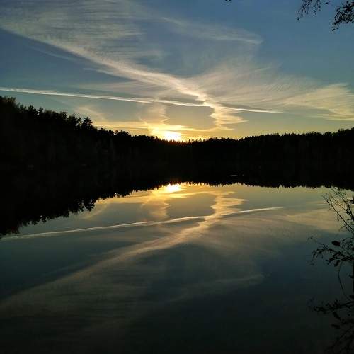 Photo #9410426