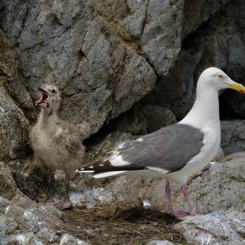 Photo #9410558