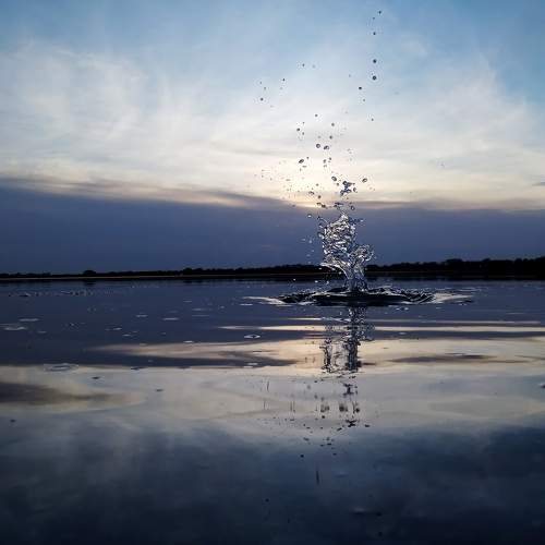 Photo #9410752