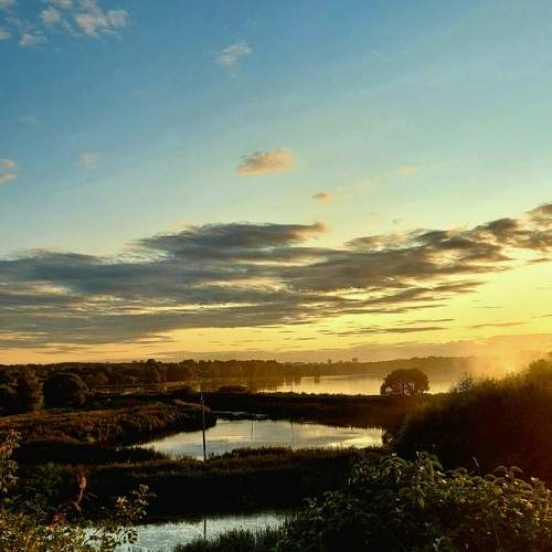Photo #9410882