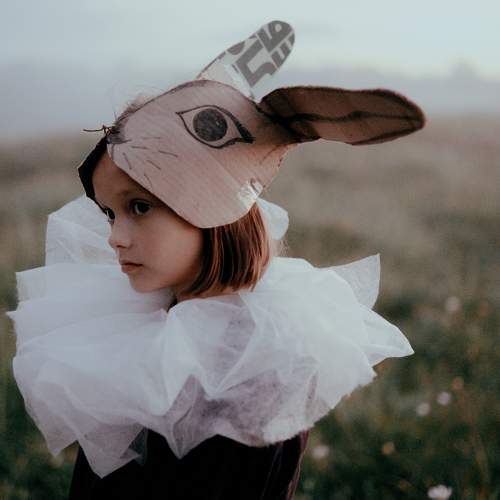 Photo #9410948