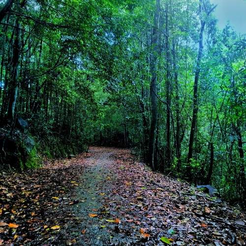 Photo #9411380