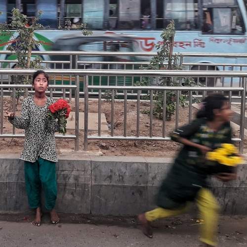 Photo #9411490