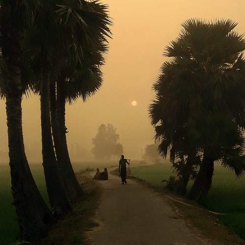 Photo #9411499