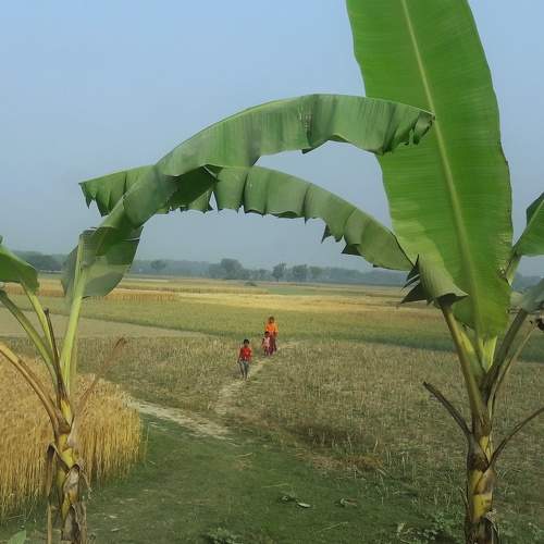 Photo #9411525