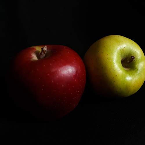 Photo #9411668