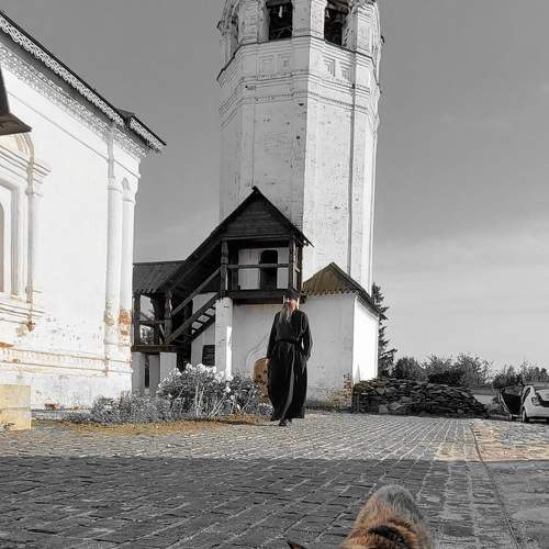 Photo #9411933