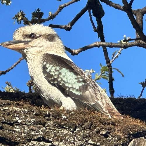 Photo #9412149