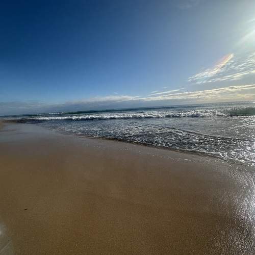 Photo #9412151