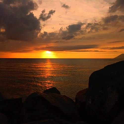 Photo #9412239