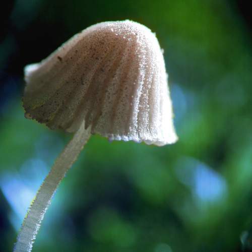 Photo #9412364
