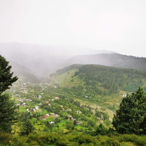 Photo #9412383