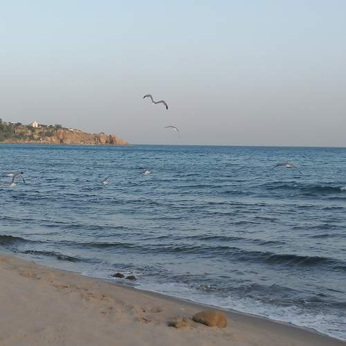 Photo #9412437