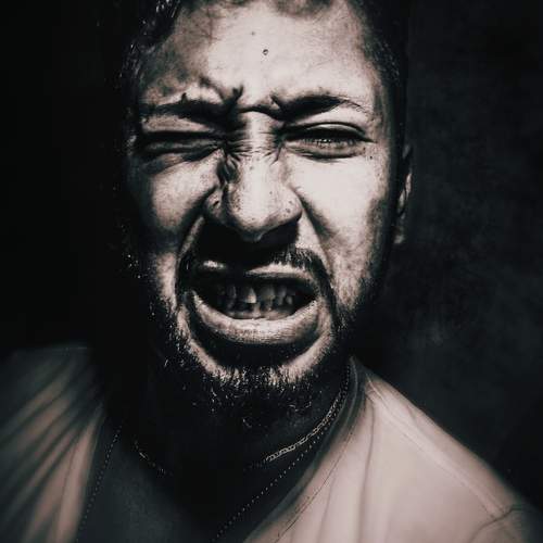 Photo #9412443