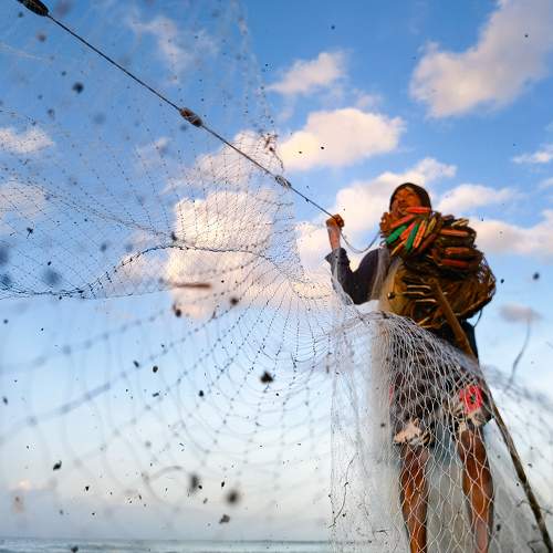 Photo #9412608