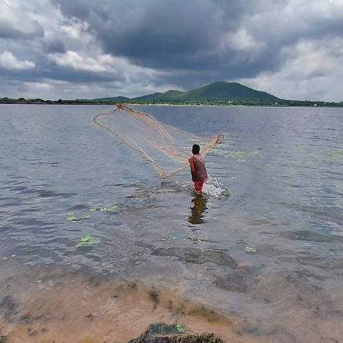 Photo #9412621