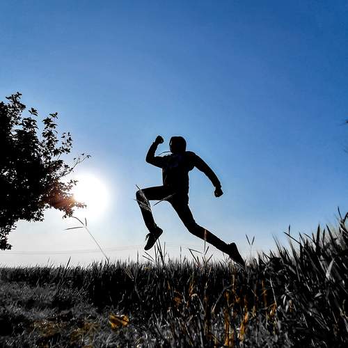 Photo #9412794