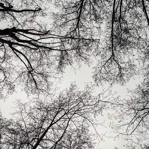 Photo #9412884