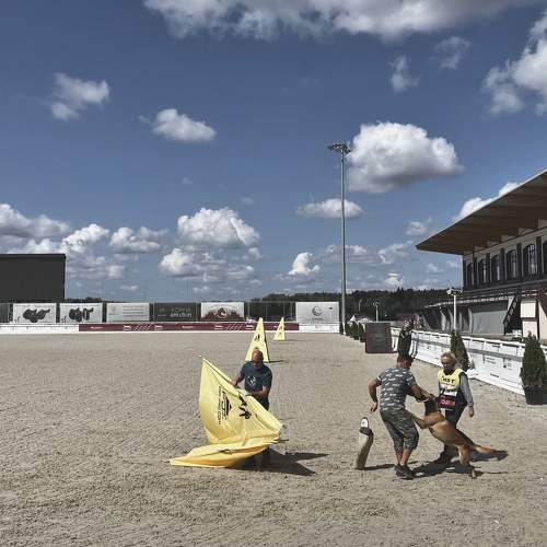 Photo #9413101