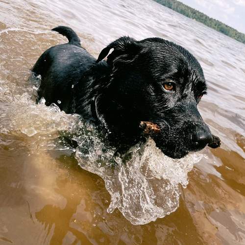 Photo #9413103