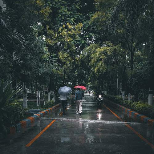 Rains and umbrella.