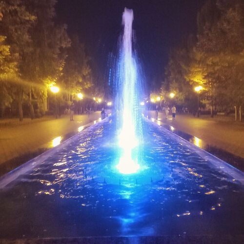 Photo #9413509