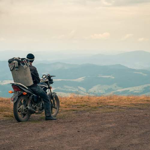 Carpathian mountains. Blueberry picker early in the morning.