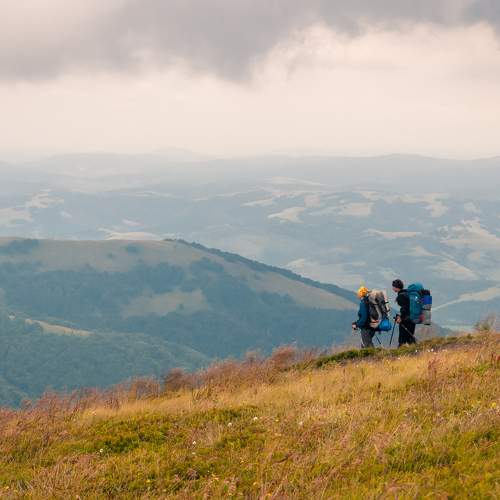 Photo #9413519