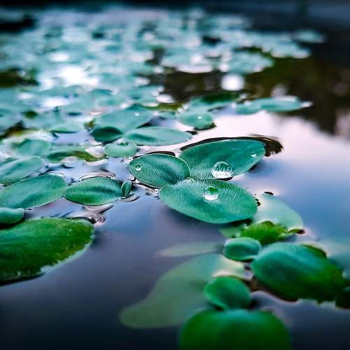 Mobie photography