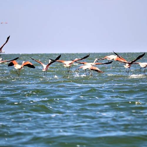 Photo #9413643