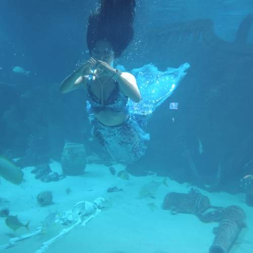 Photo #9413793