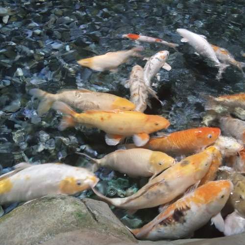 Photo #9413796