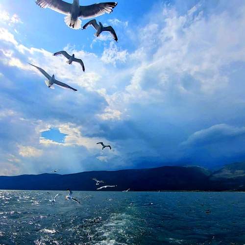 Photo #9413828