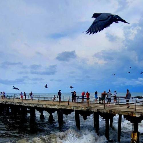 Photo #9413855